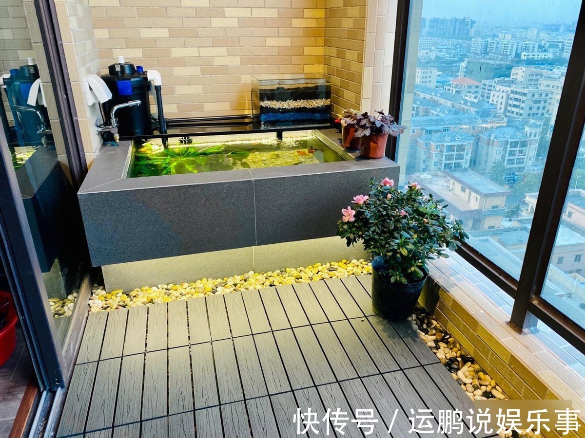 住高层这么干,阳台窗前20公分,用红砖围一圈水池,养鱼种花都好