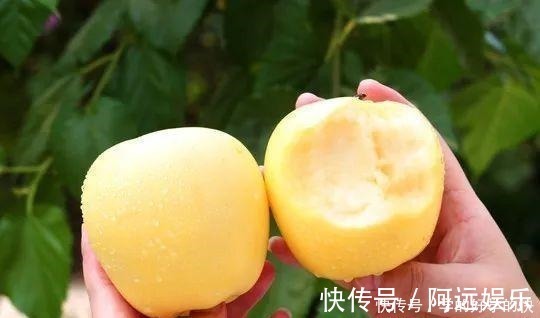 美味|6种美食,建议人到中老年要常吃,营养全面又美味,越吃越健康!