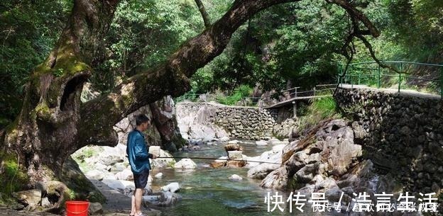 面食|夏季三伏天钓鱼怎么钓钓鱼高手给你支个招,提高中鱼率!
