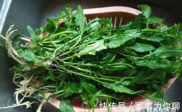 矿物质磷|女性不想早衰老,多吃三种食物,补充营养,调理肠胃,增强体质