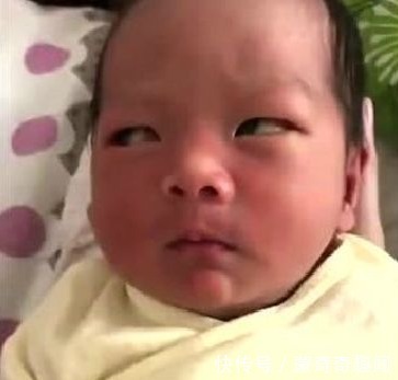 养型|嫌弃脸宝宝火了,刚出生就嫌弃父母,网友:这家庭也敢生我?