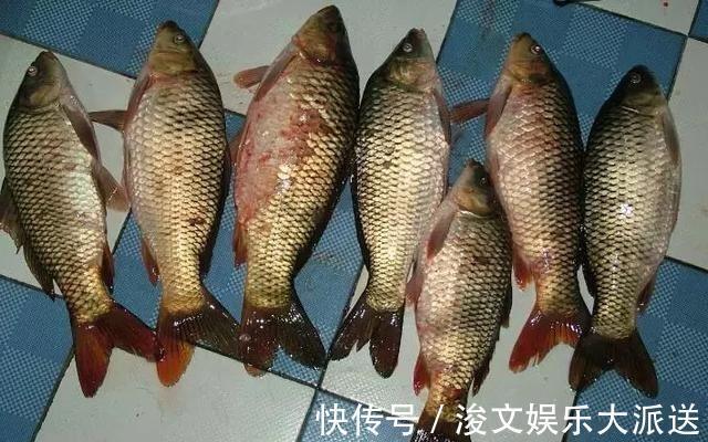 一辈子|钓鱼悟到的几个道理，如果没钓鱼，或许一辈子都不能明白