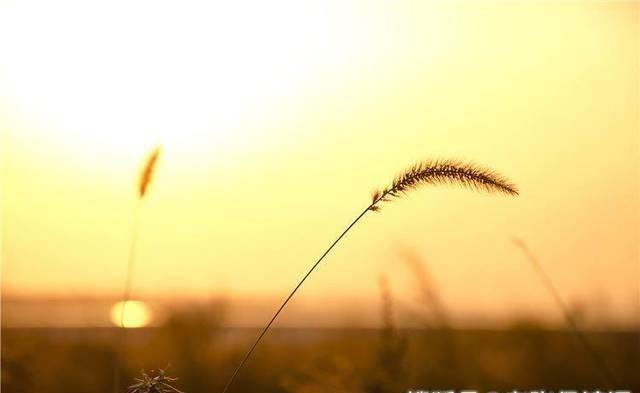 夕阳|宋代诗人只有一首古诗传世,28字当中,却有最美的田园夕阳