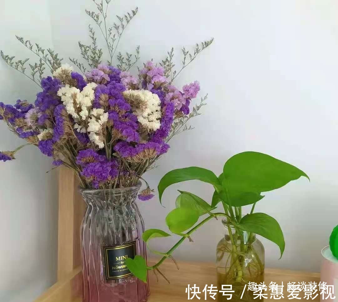 养坏了几十盆花,才总结出来的避坑心得,养花新手看这篇就够了