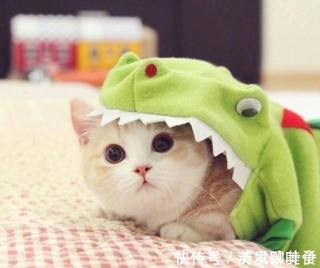 |笑得直不起腰的厚脸皮句子,幽默风趣,搞笑逗比!