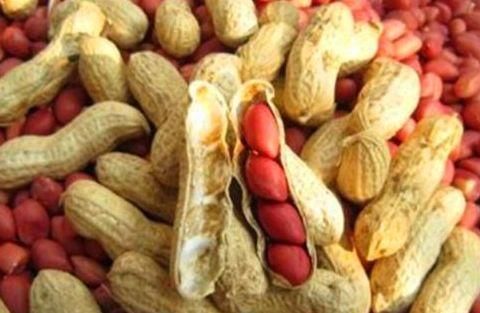 聰明人春天愛吃的食物，補(bǔ)血潤膚，清熱排毒，消除疲勞，延緩衰老