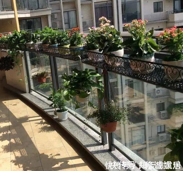 设计|原来阳台还可以这样设计,功能多又漂亮,进门就让人眼前一亮