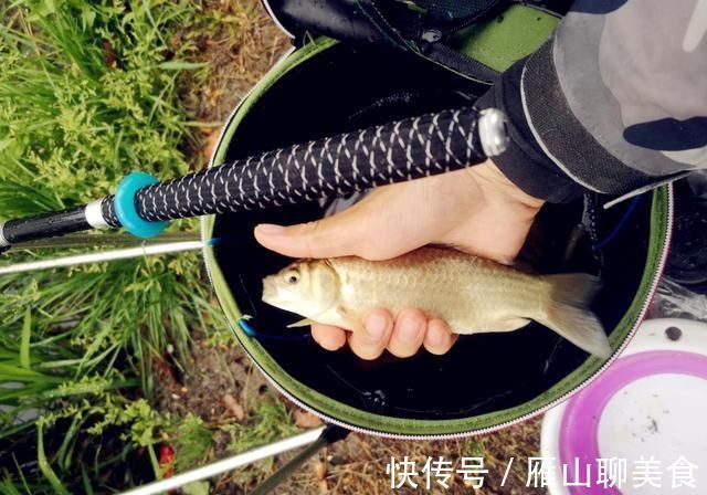 辈子|野钓大半辈子,竟然才知道诱鱼最管用的方法,你尝试过了吗