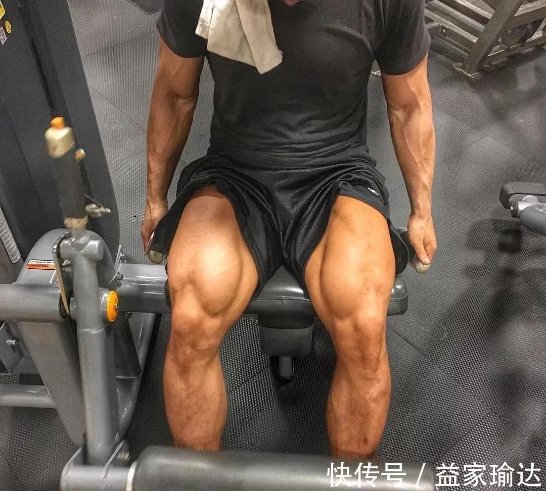肌肉|练腿一周应该练几次超过2次的人,都很“聪明”