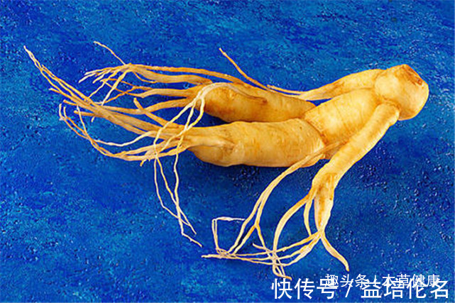 降低|路边的杂草泡水喝这六大功效，营养价值堪比人参，现在城里很少