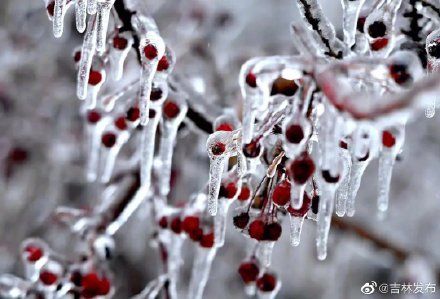 吉林|今日大雪，来看看素颜的吉林有多美