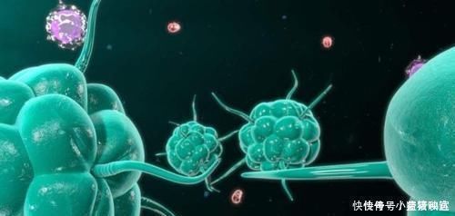 体质|有此些特点的人,可能是“绝癌体质”,若你也是,偷着乐吧