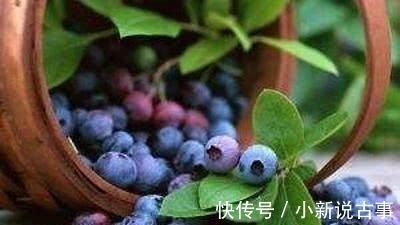 无花果|老得慢的女人,都在“偷偷吃”的6种食物,润肤养颜,子宫更健康