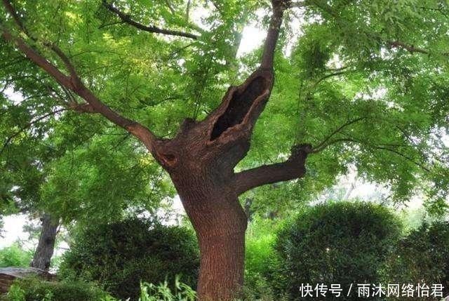 浅析|浅析明代罪己诏，从这些皇帝“检讨书”中来看明朝国运的渐衰