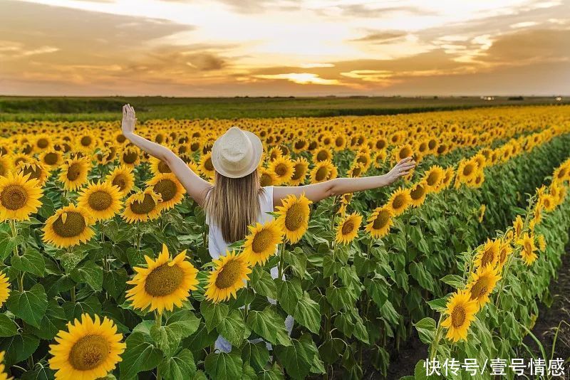 婚姻生活|女人变得“旺夫”最好的方式：菠菜法则