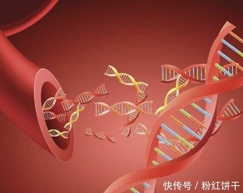 部位|身体里面如果血管堵了,这几个部位会向你发出信号的!