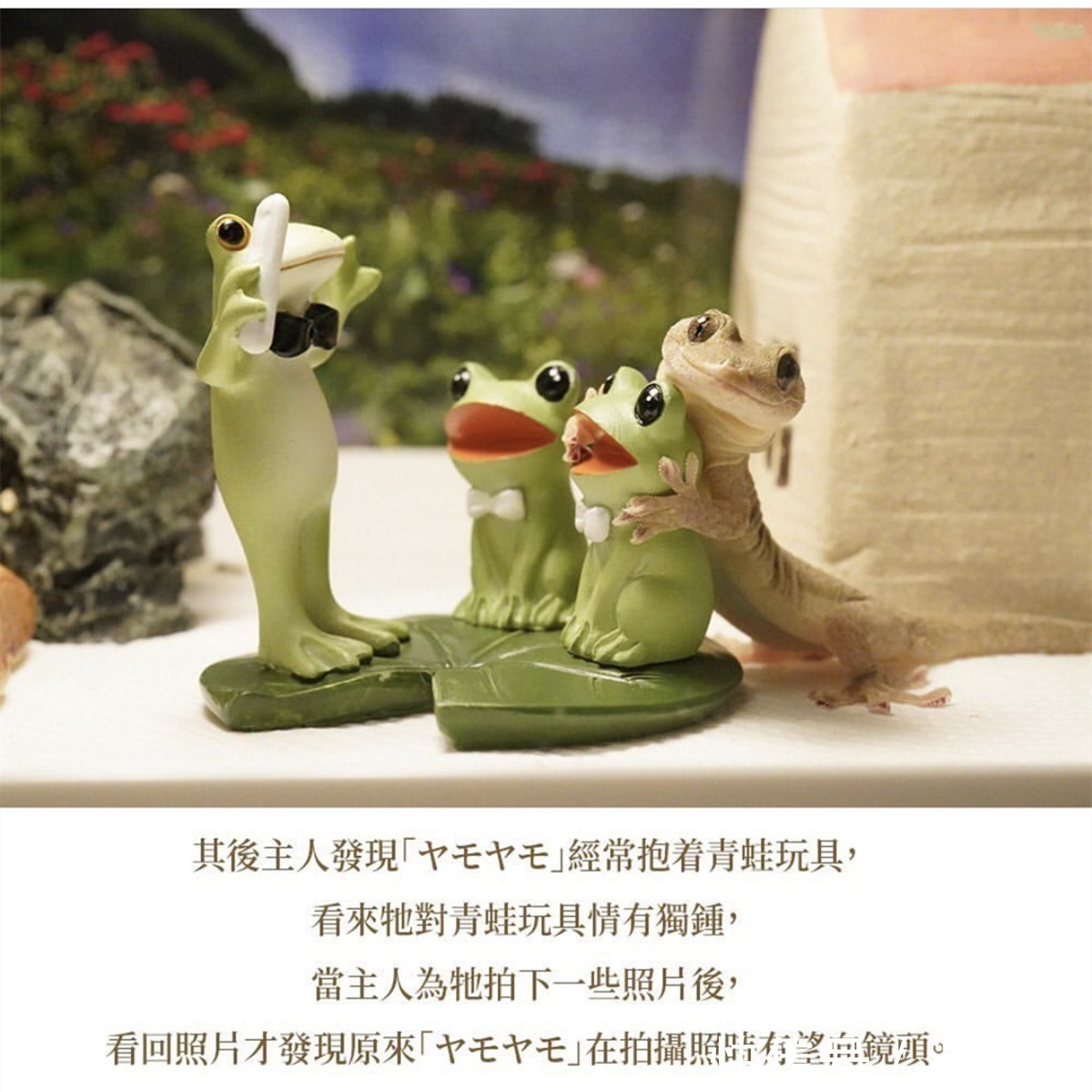 平凡的世界|三次元的壁虎喜欢拍照,萌出二次元的感觉,这是转生成为壁虎吧