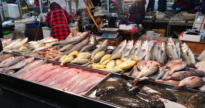 秋天碰到此鱼,我从不还价,一次准买5斤,营养极高,煎着吃最香