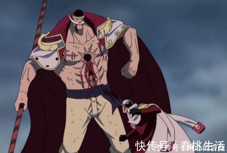 吊瓶|海贼王白胡子不做这三件事,顶上战争轻松救出艾斯!