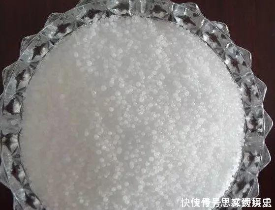  10米长的绿萝,阳台放不下了,看看他是怎么养的吧