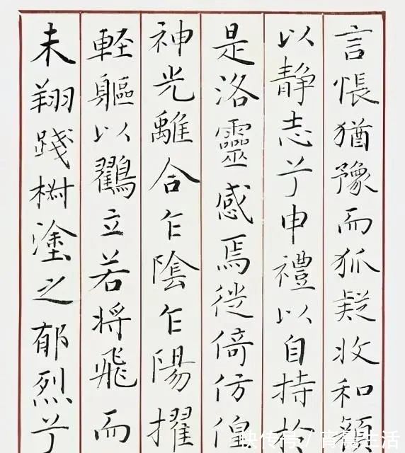 王学岭&中书协理事王学岭的书法不错,楷书简而含姿,行书碑帖功夫深厚