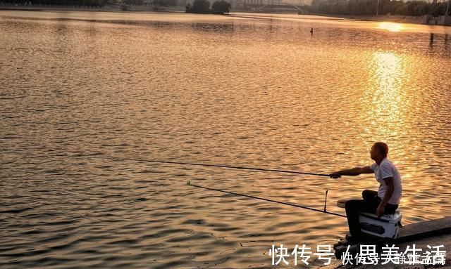 钓白条有技巧,并不是使用腥饵那么简单,想钓得好这几点尤为重要