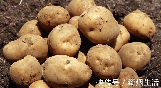 保存土豆别再放冰箱!教你三个储存方法,土豆放一年不发芽不坏