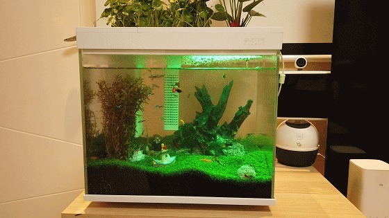 哪种鱼缸更适合养鱼画法几何AI智能鱼缸,水质监测还能自动喂食
