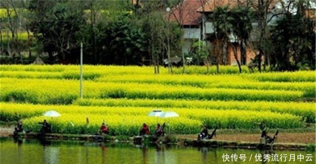 钓鱼技巧四季钓鱼时间表，凡是鱼好钓的阶段，一定满足这些特点！