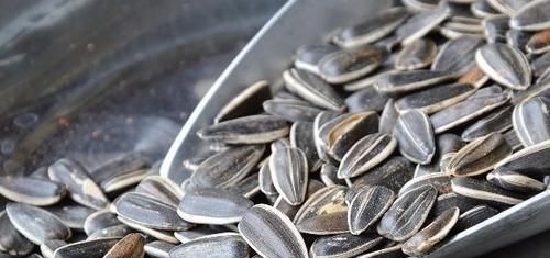 零食|孕期,孕妇尽量多吃4种“零食”,或许对母子都好