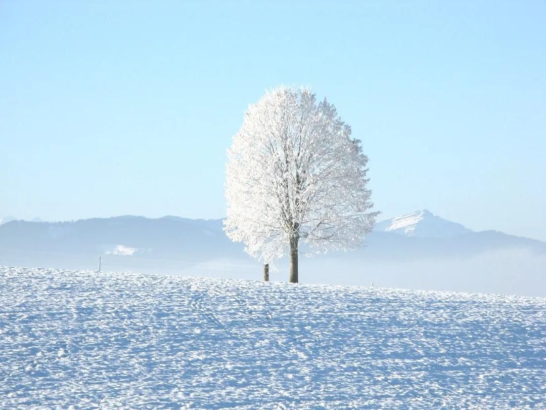 遇见|冬天去哪儿玩？一路向北，遇见最美的“哈亚雪”