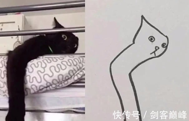 爪子$美术生画猫遭老师批评，可看到最后，老师抱歉，是我错怪你们了