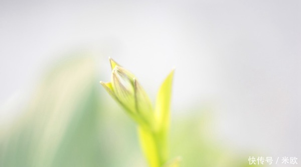 除冰箱异味的五法宝!除冰箱异味的五法宝!