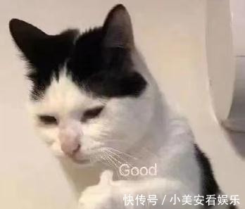 刘耀文|丁程鑫张真源“开”出了宋亚轩刘耀文