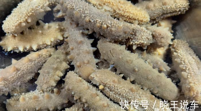 厨娘|海参泡发,最忌直接加水泡,正确做法和要点详解,新手一次就成功