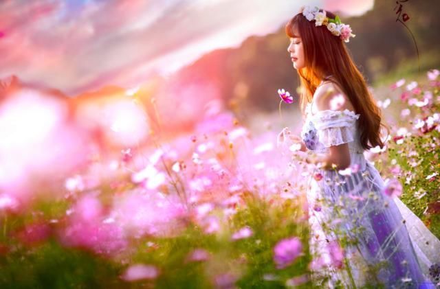 短短|王维的这首诗,凄美至极,短短20字,从花开写到花落