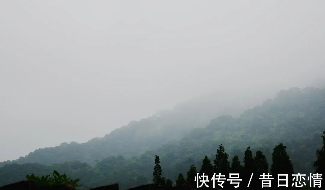 诗句|当年背到头秃的古诗,瞬间读懂了……