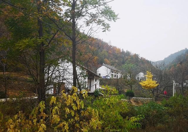  秦岭大山中|秦岭大山里的最美自驾公路，路边全是美景，只是在深山没人知道！