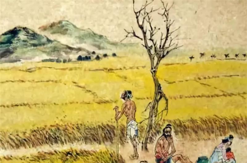 景阳冈$西门庆为何会被武松“反杀”,是真的打不过吗百年后谎言被戳穿