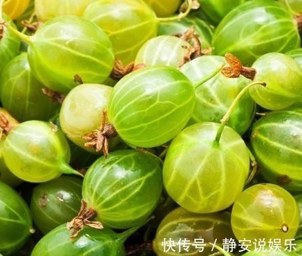 降血压|农村这种常见的野果,不但能降血脂、降血压,还能治疗皮肤病!