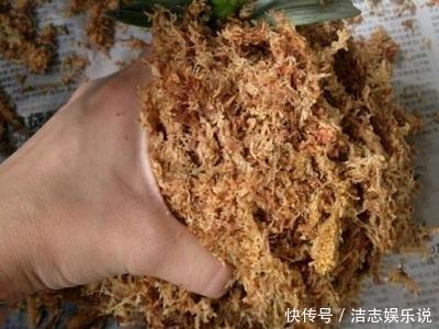 养护|烂根的蝴蝶兰别扔，学会这么做，猛窜花枝，年年都开花