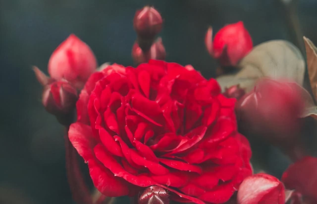 周国平&写给渐渐老去的中年人:余生最好的活法,不过只有三句话