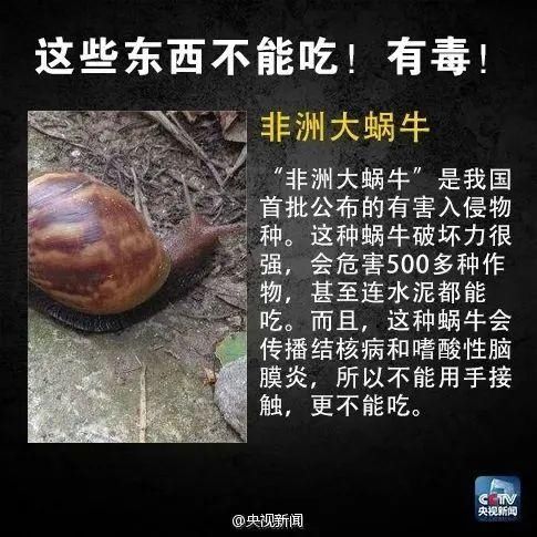 中毒|警惕！已有多人中毒！急诊科医生：这种发苦的家常菜不能吃！严重可致命