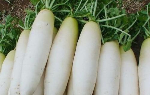 小时|提个醒吃完萝卜一小时内,别去碰此物,还有人不清楚,早知早好