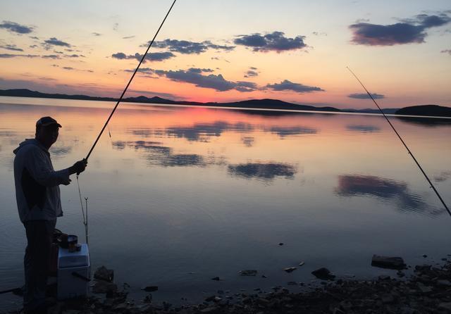 光合作用|真的是早上鱼口最好吗？其实鱼的开口时间与水质关系很大