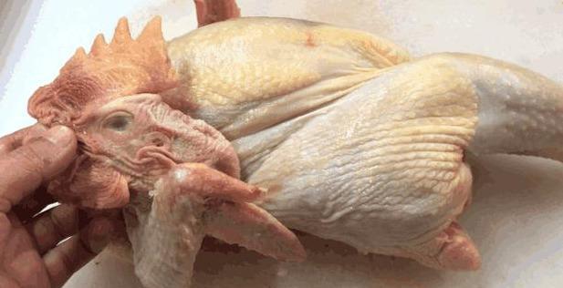 老母鸡|天冷了,这3道菜再贵也要吃,第4个菜再便宜也要吃,补气养胃佳品