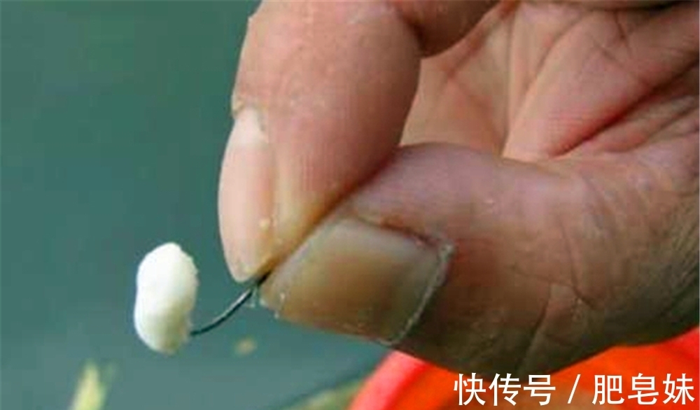 鲫鱼|仲春适合野钓大板鲫,介绍几款自制“素饵”,钓大鲫鱼很给力!