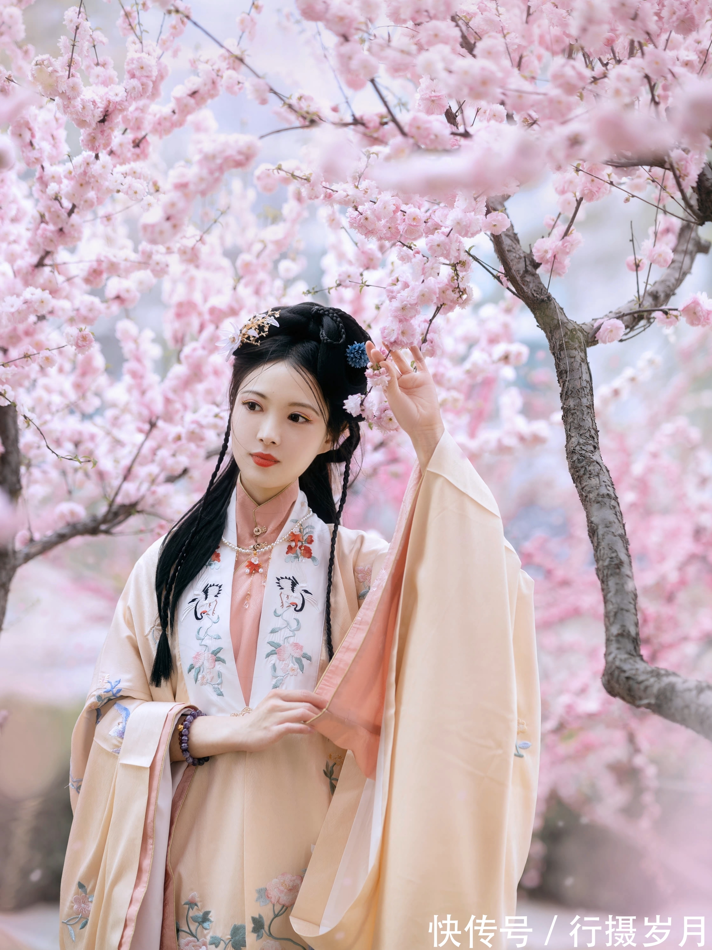 天涯!江南如梦,花似锦