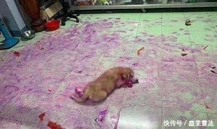 “不懂就问,女孩子的脚上戴这个是什么意思啊”单纯为了看吗