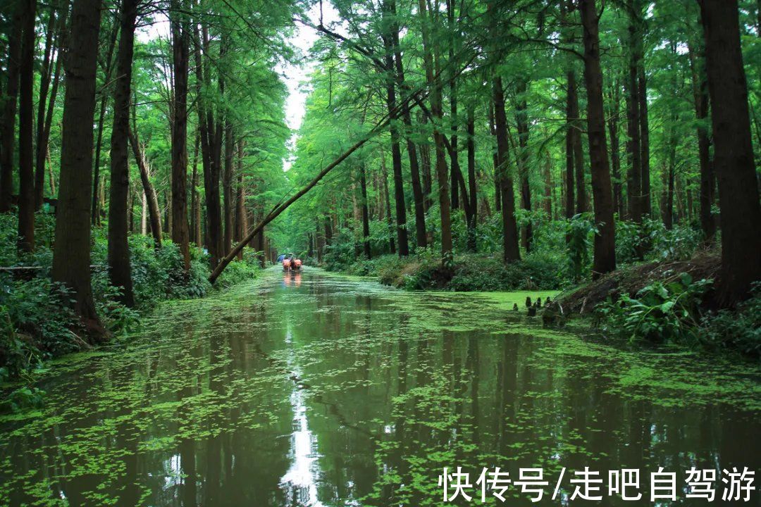 惬意|适合小住几天的醉美慢城，走进风景里，过最惬意的慢生活